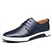 Produktbild Dewuseller Herren Freizeit Schuhe Aus Leder Mesh Atmungsaktiv Business Schuhe Oxford Halbschuhe Zum Schnürer Tragbar Flache Slipper für Party Blau Übergrößen 42