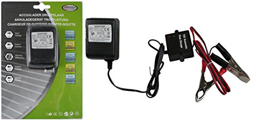 Preisvergleich Produktbild Batterieladegerät 12V Auto Batterie Ladegerät 500MA Starthilfegerät