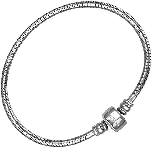 Timeline Treasures European Charm Bracelet For Women and Girls Bead Charms, Stainless Steel Snake Chain, Barrel Clasp 20 cm
