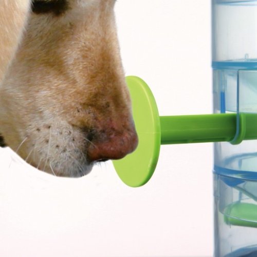 Dog-Activity-Tricky-Tower-Level-3