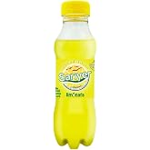 Sarıyer Limonata Pet 250 ml
