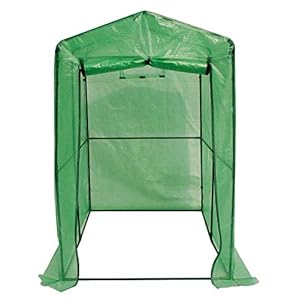 Dehner Tomaten-Gewächshaus Maxi, ca. 187 x 183 x 122 cm, Kunststoff/Metall, Grün Serra per pomodori, Verde