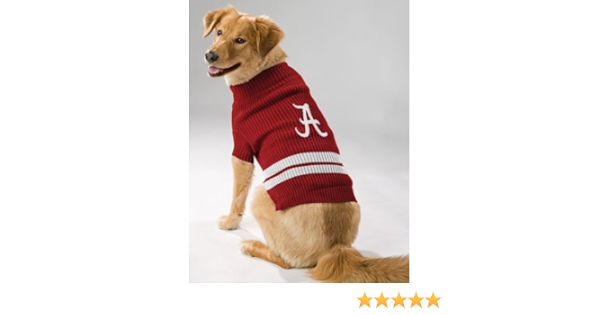 iu dog sweater
