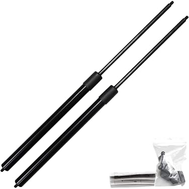Ammortizzatore Cofano Motore RIDEX 514G0198 Lato Destro Per VW Passat (3B3/3B6) E Audi A6