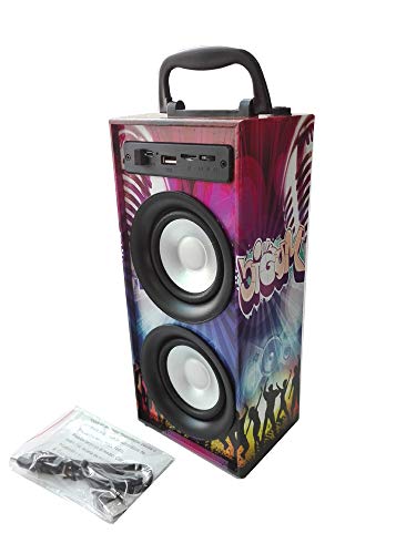 Altavoces Portatil Reproductor MP3 FM Micro SD con Puerto USB Entrada para microfono Karaoke (Modelo 1)
