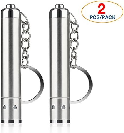 BENGIX LED Super Bright Key Ring Torch Portable Keychain Flashlight ,Silver, 2pcs/pack
