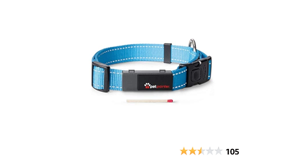 cleaning dog blankets