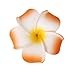 Produktbild SODIAL(R) Hochzeitsgesellschaft Hawaiian Frangipani Plumeria Blume Schaum Haar Haarspange 9CM
