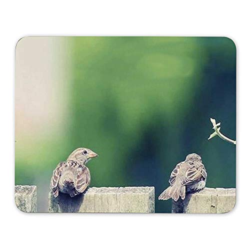 Mouse pad gaming mouse mat gel rubber for PC, computer and laptop, Smooth Surface and Non-Slip Rubber Base, Compatible with Laser and Optical Mice - Bird perched on a wooden staket