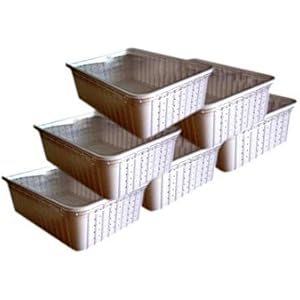 100 weiße Rechteckdosen, Transportboxen, Börsendosen, mit tranparenten Deckel, 2 Seiten perforiert (gelocht)