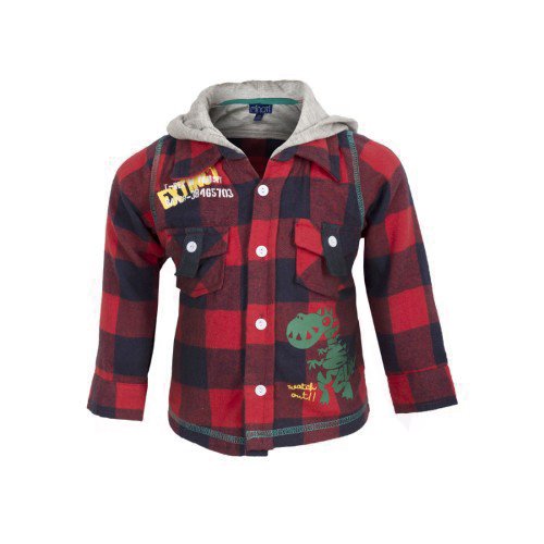 Baby boys Red And Black Checked Hooded Shirt With Dinosaur Design (12-18 Months)