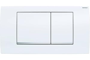Geberit 115.899.KJ.1 Plaque de commande Twinline pour 2 quantités, 34 x 18,5 x 3,2 cm, Blanc