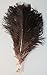 Produktbild 10 Ostrich Feathers male black bodies - 1. Qualität - naturfarben - 14-16` (35-40 cm)