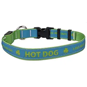 Personalized Hot Dog LED Safety Collar, Lights Up, Rechargeable, US Made, Teal, X-Large