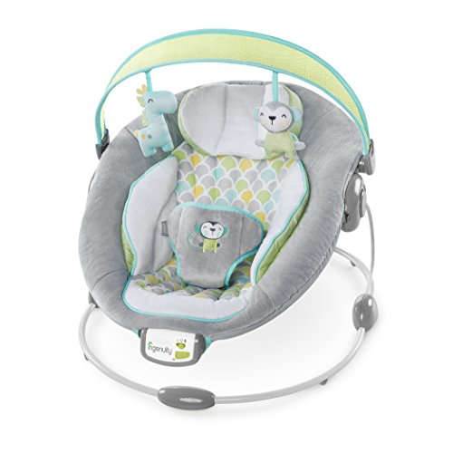 Ingenuity 60389 Soothe and Delight Bouncer - Savvy Safari