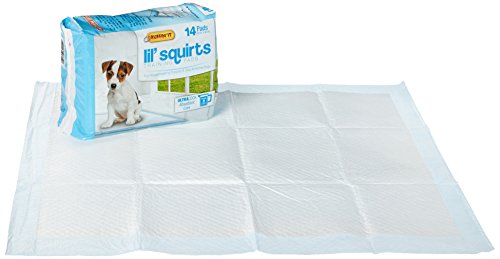 RHODE ISLAND TEXTILE 82014  Mascota formación almohadillas (14 unidades)