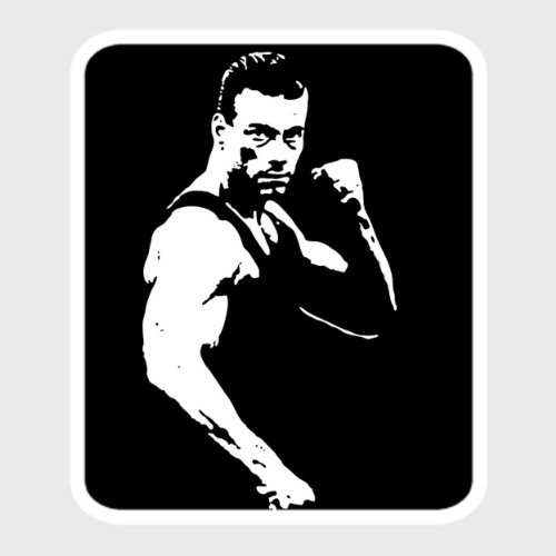 Preisvergleich Produktbild StyloTex Autoaufkleber Fighter - UV geschützt