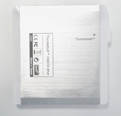 Delock 42509 Externes Gehäuse MSATA SSD zu Thunderbolt - 4