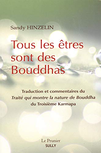 Lire des livres gratuits en ligne sans téléchargement Tous les êtres sont des Bouddhas : Traité qui montre la nature de Bouddha du 3e Karmapa by author 2354323107 MOBI