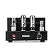 Produktbild GemTune-Aiqin Röhrenverstärker X-1 mit 2 Vacuum Tube EL34, Hallo-Fi, 100% handgemacht