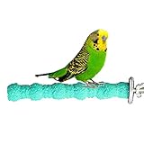 Proporciona a tu pájaro un lugar agradable y acogedor para jugar y hacer ejercicio.