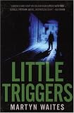 Cover zum Buch Little Triggers