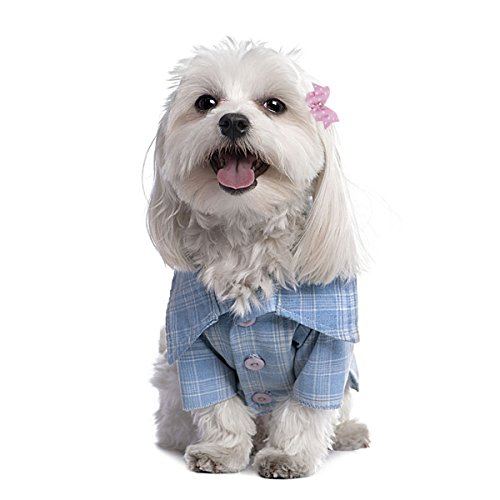 UEETEK-20pcs-Lovely-Pet-Dog-Hair-Bows-Accessories-Cat-Puppy-Hair-Clips-with-Rubber-Bands-PolkaDot
