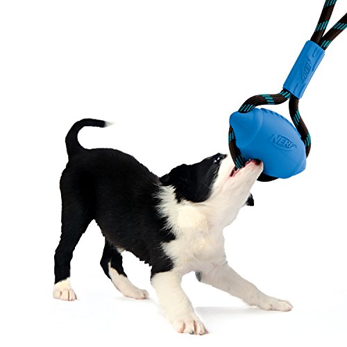 Nerf-Dog-Infinity-Tug-Football