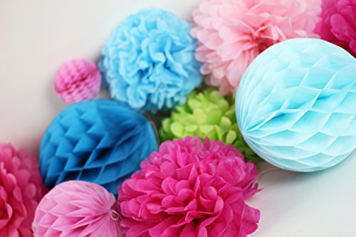 SUNBEAUTY 11er Set Deko Kombination Pink Rosa Blau Wabenbälle PomPoms - 3