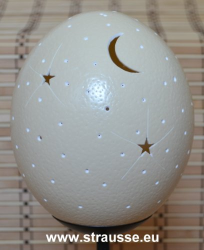 Straußenei-Lampe „Mond-Himmel-Sterne“ ohne Ständer – Straußenfarm Chemnitz - 2