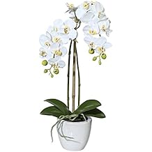 Suchergebnis auf Amazon.de für: künstliche orchideen