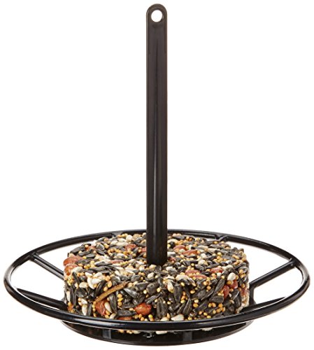 8in1 Birdola Ring Feeder (Futterspender mit Sitzstange für Wildvögel, inklusive Futterring), 130 g