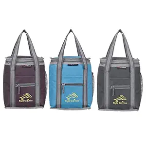 Right Choice Denim 3 Piece Combo All Age Lunch Bags Carry on School Office & Picnic Tiffin Bag. (Brown/Sky Blue/Grey)