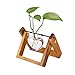Produktbild AOLVO Holz Halterung Glas Vase Tischplatte Ornaments Hydrokultur Pflanzen Blumentopf Deko-Hänger Glas Vase mit Holz Ständer für Garten Wohnzimmer Home Dekoration 1