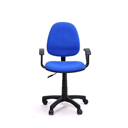 GreenForest Adjustable Office Task Chair Executive Recliner CHAIR, Luxury Mid Back Support, Swivel Armchair in Blue