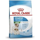 Royal Canin Mini Starter Anne ve Yavru K&ouml;pek Maması 1 Kilogram | Doğal savunma, sindirim, gebelik ve emzirmeyi destekler, kol