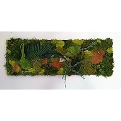 TABLEAU CADRE MUR VEGETAL STABILISE 90 x 30 cm