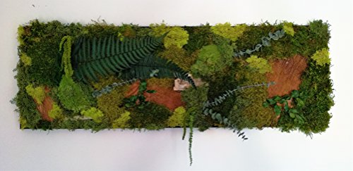 TABLEAU CADRE MUR VEGETAL STABILISE 90 x 30 cm