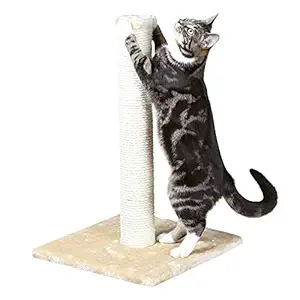 Trixie: - Parla Scratching Post for Small Kittens and Cats | Scratch Post Wrapped Up with Natural Sisal Ropes to Play Around | Suitable for Cats of All Ages - 62 cm, Beige