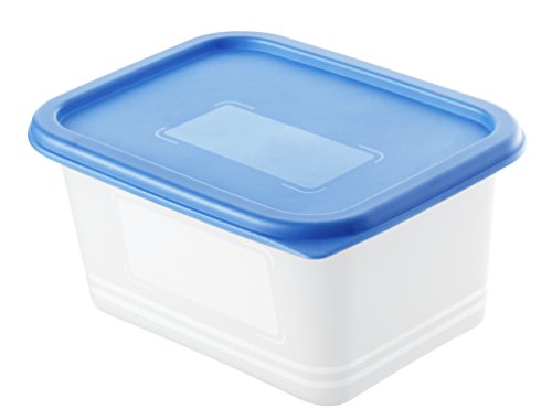 Rotho Gefrierdose „Domino“ – Aromafeste Aufbewahrungsbox – 4er Set Vorratsdose BPA-frei – Reinigung der Gefrierdose in der Spülmaschine – 0.75 l Inhalt pro Gefrierbox – weiss/blau - 2