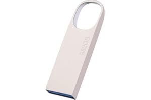 MS LULA USB Stick 982GB, Wasserdicht Speicherstick mit Schlüsselanhänger 982 GB Metall Memory Stick DatenSpeicherung USB-Flash-Laufwerk für PC/Auto/Mac/Laptop