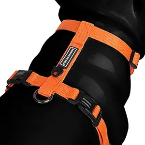 Heads Up For Tails Essentials Nylon Dog H-Harness - Orange - S: 16.5-24