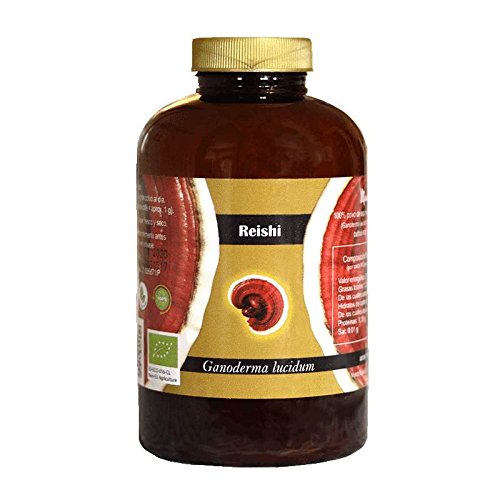 Reishi puro en polvo micromolido (setas de Ganoderma lucidum) procedente de cultivos ecológicos certificados.