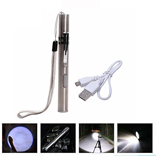 Evary Mini Taschenlampe,Wasserdichte Edelstahl USB-Mini-Taschenlampe Medizinische Taschen-Taschenlampe Pen Größe wiederaufladbare Lampe (1 Packung)