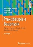 Image de Praxisbeispiele Bauphysik: Wärme - Feuchte - Schall - Brand - Aufgaben mit Lösungen