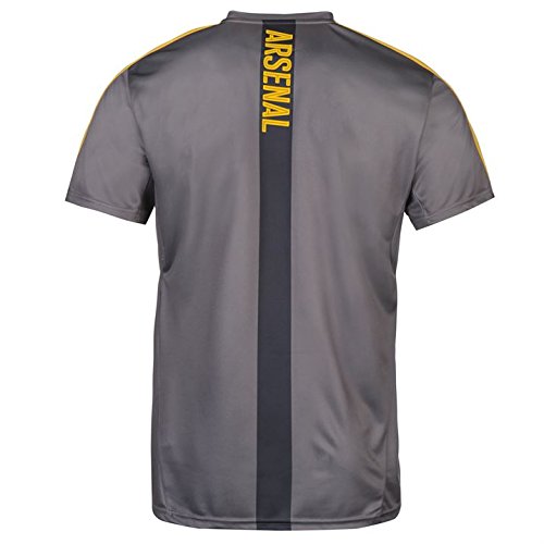 Puma Mens Gents Football Soccer Arsenal Training Shirt Jersey Grey
