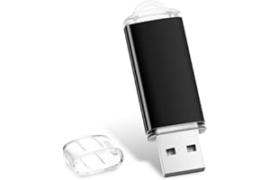 FHODIGOGO 976GB USB Memory Stick 976GB Flash Drive Flash Drive Memory Stick USB 2.0 Pendrive