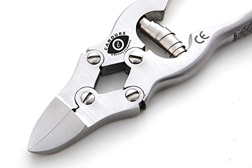 CANDURE® Professional CHIROPODY PODIATRY TOOLS – 5 Stück Hochleistungs-Nagelschneider – Fußnagelzange – Nagelzange für starke Fußnägel – Nagelschere-Nagelschneider – Nagelpflege – Persönliche Maniküre & Pediküre-Set – Zehennagelschere für dicke Zehennägel- Hautzange – Nagelzange – Nagelzange spitz – Nagelschneider – KopfschneiderFußnagelzange für tief eingewachsene Nägel + Sicherheitskoffer (CAN-5051) - 2