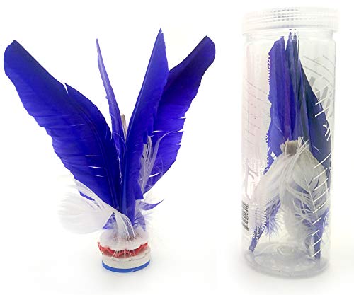 VIAHART Kikbo Kick - Cilindro de muelles (Chapteh, Da CAU, Jian Zi), Gran Cambio de Saco y Saco de pie