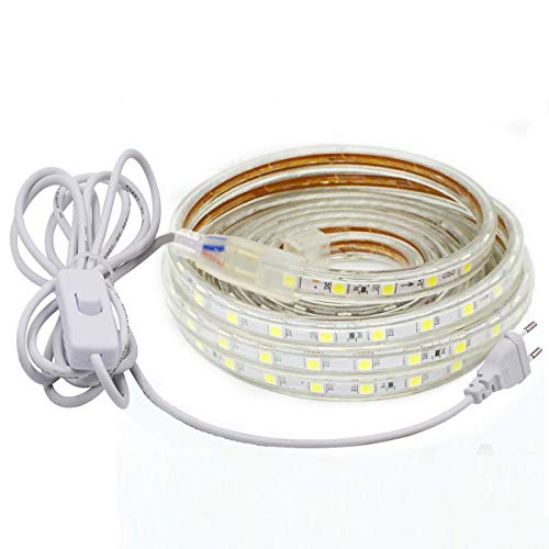 Ruban à LED, Ruban LED Etanche avec interrupteur, Lumineux Bandeau Led 220v, 5050 IP65 Etanche Bande Strip Led, blanc froid (10m)